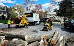 Best Leaf Removal  in Oak Creek, WI